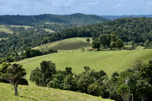 Tablelands at Mungalli Creek Dairy, Australia