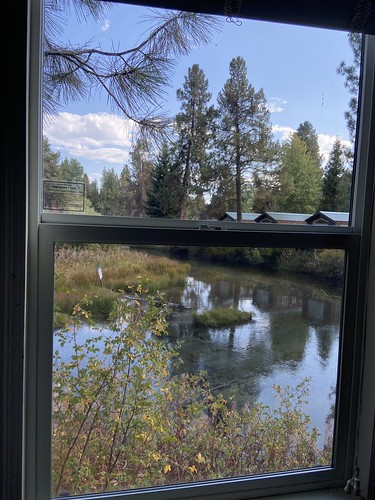 View of Fort Creek from cabin 18 at Crater Lake Resort