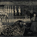 Chicken Alley Mural In Asheville Panorama B&W