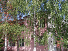 Pink house in Novonikolayevsky