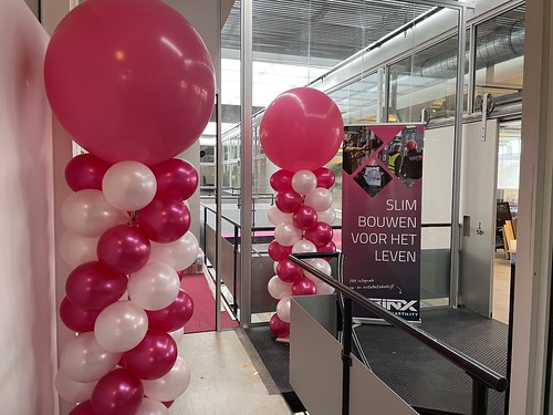 Ballonpilaar Breed Rond Binx Smartility West van Nelle Fabriek Rotterdam