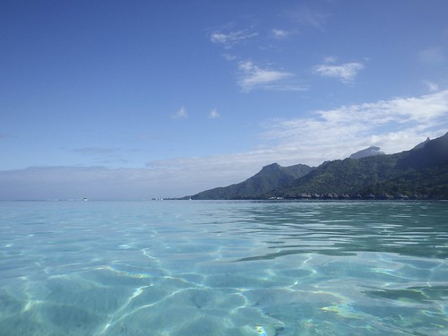 Swimming, Moorea Tahiti