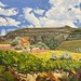 Portugal Vineyard 18" x 24" sold