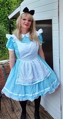 Alice in wonderland 1