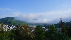 Das Rheintal im Morgennebel