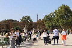 Jardin des Tuileries<br/>© <a href="https://flickr.com/people/87974483@N02" target="_blank" rel="nofollow">87974483@N02</a> (<a href="https://flickr.com/photo.gne?id=53245228061" target="_blank" rel="nofollow">Flickr</a>)