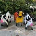 Claremont Village Cow Herd