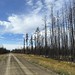 After the Edson fire 2023