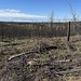 After the Edson fire 2023