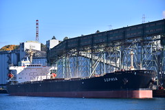 Sophia, bulk carrier, loading grain