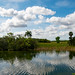 29723-Everglades.jpg