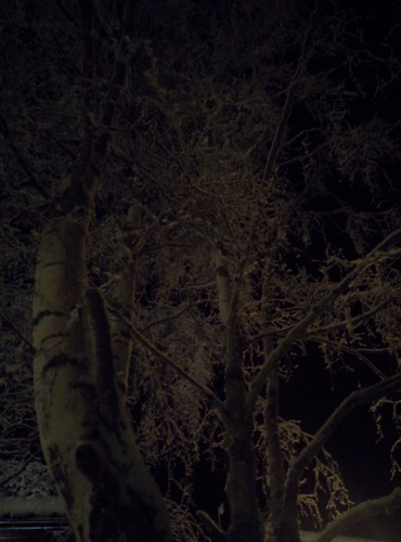 Kalte Polarnacht am Inarisee, Finnland