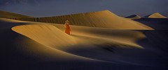 A desert stroll