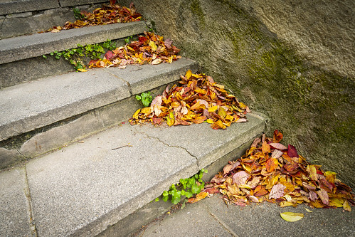 Herbst-Treppe