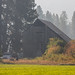 Old barn - atmosphere provided by nearby forest fire.