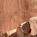Petroglyphs by Fremont People in Capitol Reef National Park