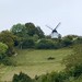 Cobstone Windmill 1