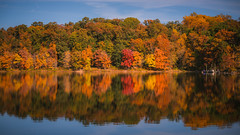 Fall Leaves Reflecting on Lake Needwood