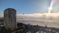 Fraser River Morning Fog