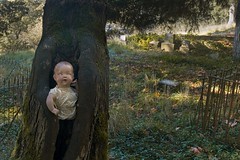 Creepy Doll in Tree 7838 A (Explored)