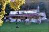 Las cabras okupas en la ermita de San Emeterio
