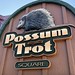 Possum Trot Square