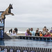 Big Air Dock Dogs -    Virginia Beach  oceanfront  -  Neptune Festival