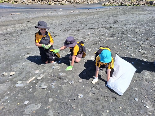 Kai Iwi Beach Litter Intelligence with Kai Iwi School