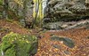 *Autumn hike in the South Eifel Nature Park*