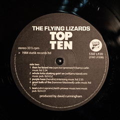 The Flying Lizards images