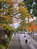 2023-1111 Kyoto and Lake Biwa