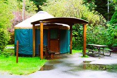 Basic Yurt in Umpqua Lighthouse State Park