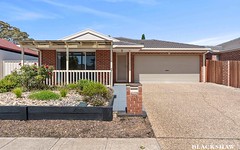 109 Norman Fisher Circuit, Bruce ACT