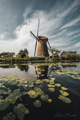 UNESCO Werelderfgoed Kinderdijk (Netherlands)