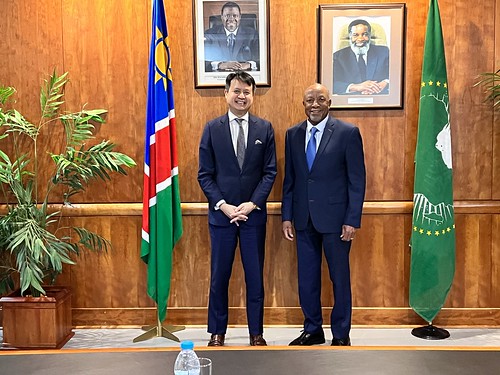 WIPO Director General Confers with Namibia's Vice President
