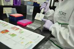 Cassava Genetics Laboratory (1)