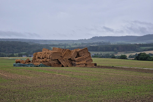 Fallen haystacks