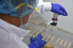 GMO - Risk Assessment  Laboratory