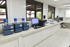 Cassava Quality and Processing Laboratory (8)