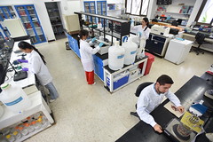 Beans Genetics Laboratory (5)