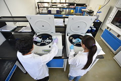 Molecular Genetics and Tissue Culture Laboratory (5)