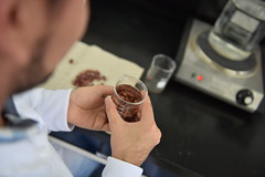 Beans Genetics Laboratory (4)