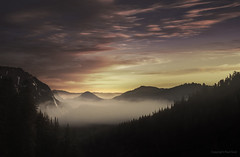 Valley In Mt Rainier National Park