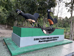 Maleo Statue (Indonesia)