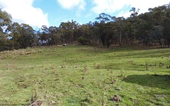 Lot 80 Back Arm Road, Middle Arm NSW