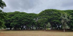 Arthur Fadden Park, Townsville