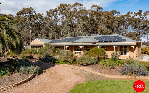 121 Allies Road, Myers Flat Vic