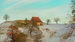 Weidscheune im Bölchengebiet/Pasture barn in the Bölchen area