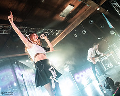 MisterWives images