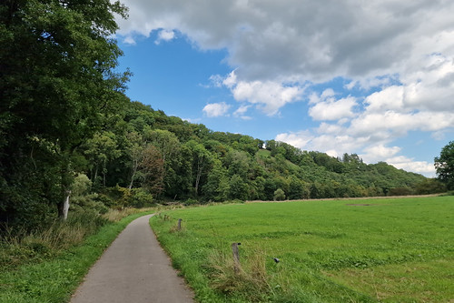 Cycleway along the Ourthe valley near Burbuy